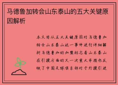 马德鲁加转会山东泰山的五大关键原因解析