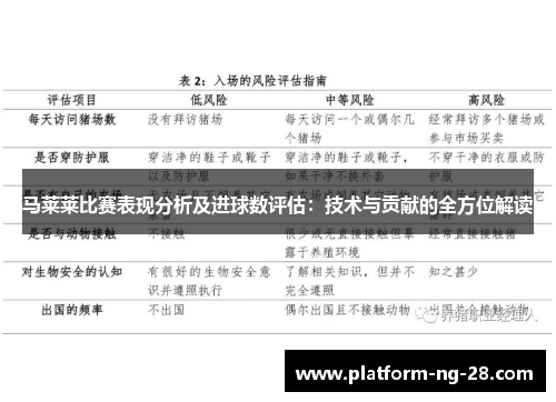 马莱莱比赛表现分析及进球数评估：技术与贡献的全方位解读