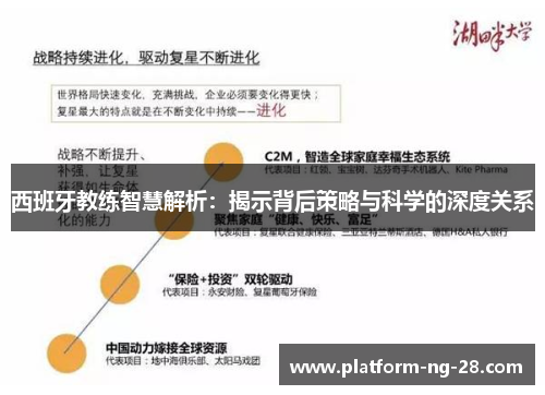 西班牙教练智慧解析：揭示背后策略与科学的深度关系