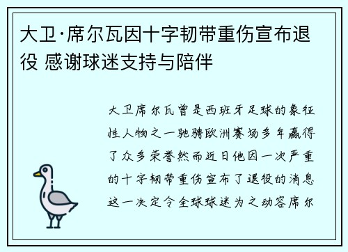 大卫·席尔瓦因十字韧带重伤宣布退役 感谢球迷支持与陪伴