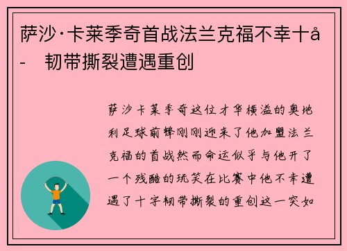 萨沙·卡莱季奇首战法兰克福不幸十字韧带撕裂遭遇重创